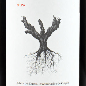 Domino de Pingus Psi Ribera del Duero Spain, 2019, 750