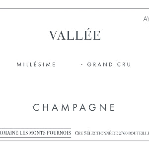 Domaine Les Monts Fournois Vallee Millesime 2013 Ay Grand Cru Champagne France