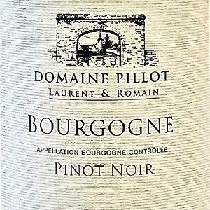 Domaine Pillot Laurent and Romaine Bourgogne Rouge Burgundy France