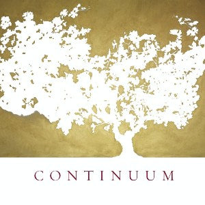 Continuum Proprietary Red Wine Napa Valley California, 2017, 375ml